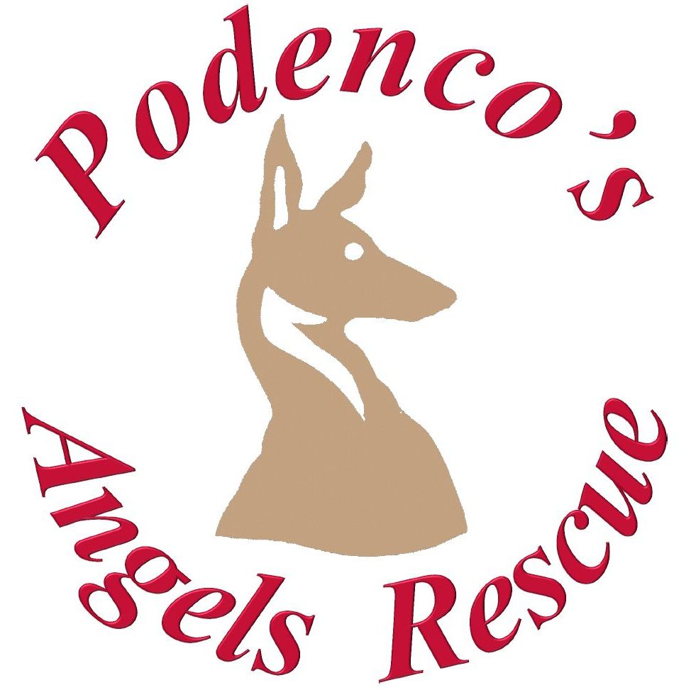 podencosangels