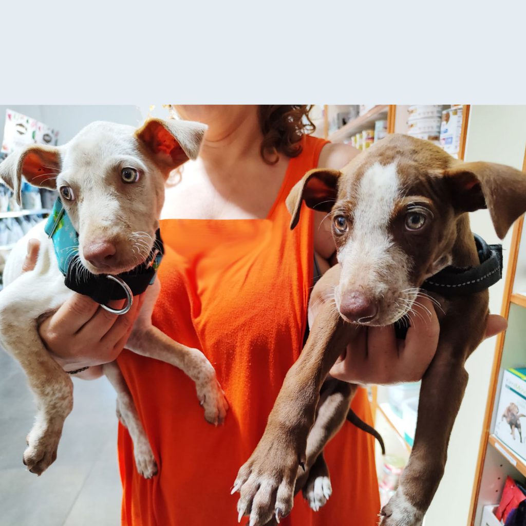 FrodoGandalf01