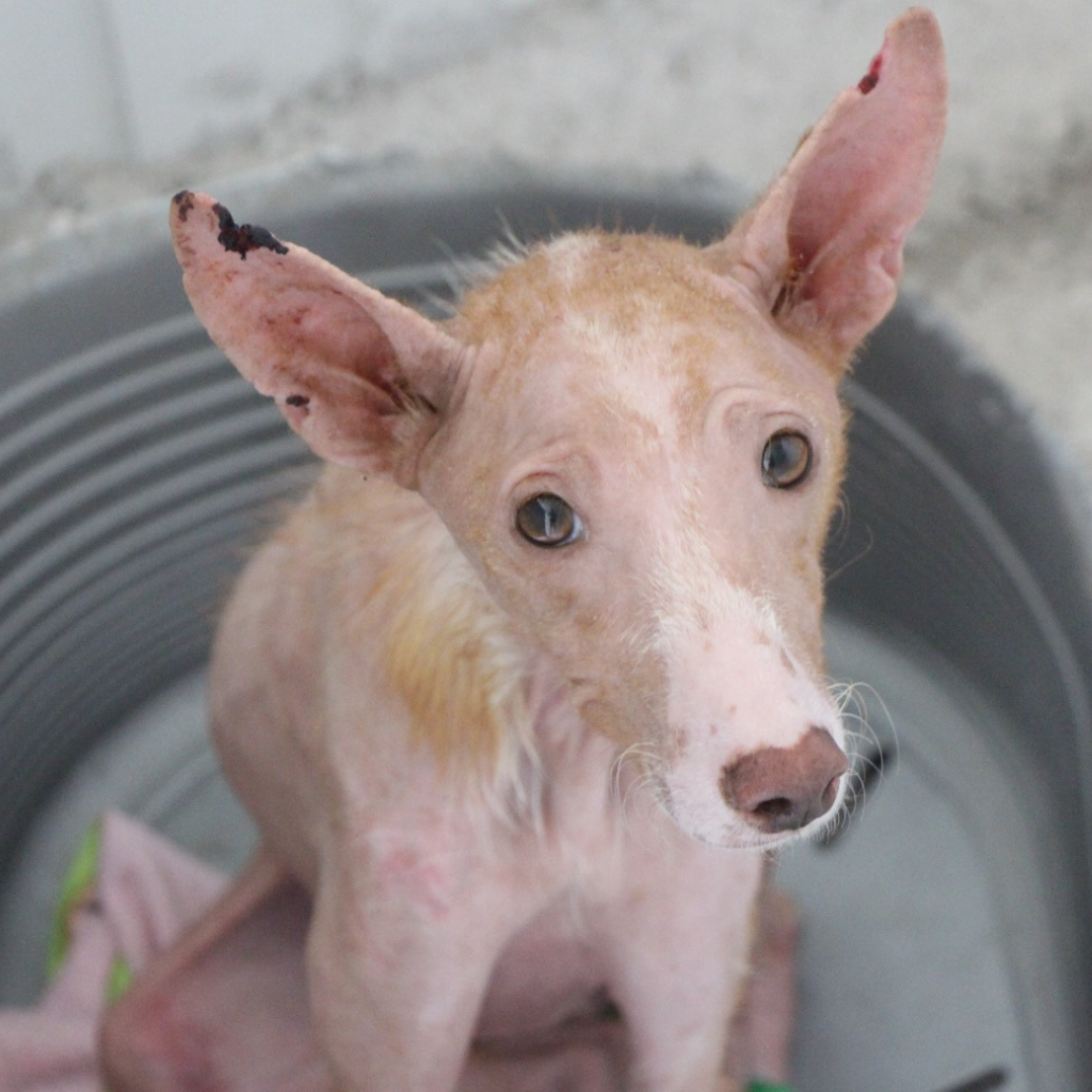 Copia di Quadrato sito (1)