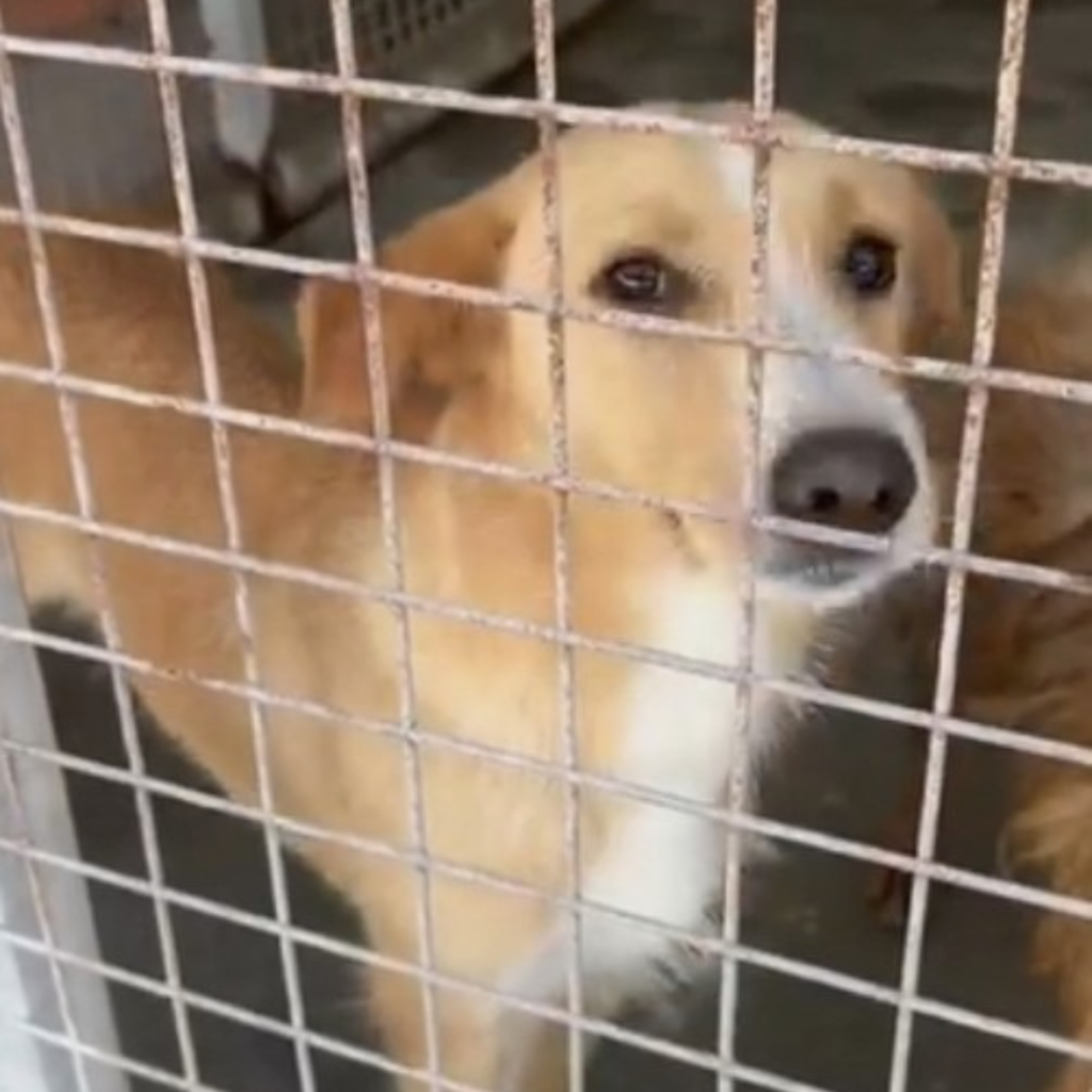 Copia di Quadrato sito