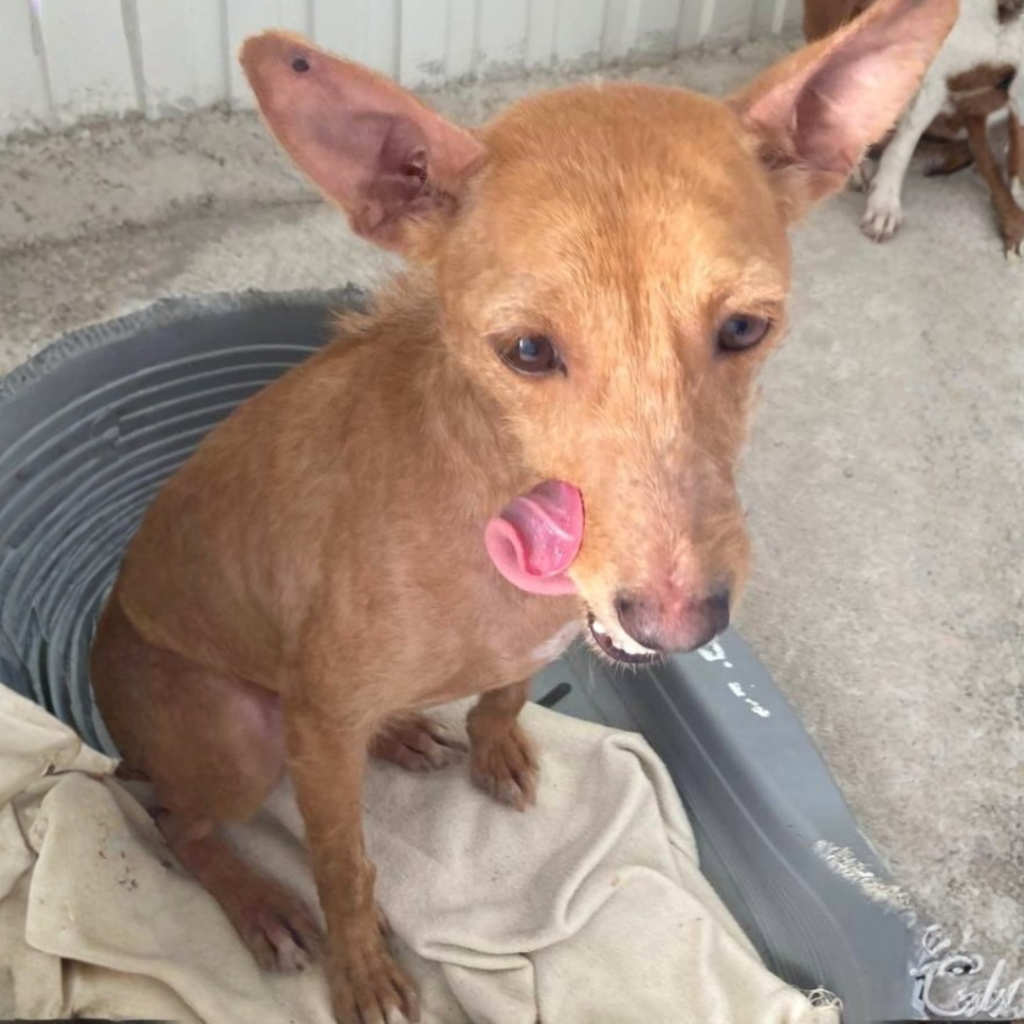 Copia di Quadrato sito (2)