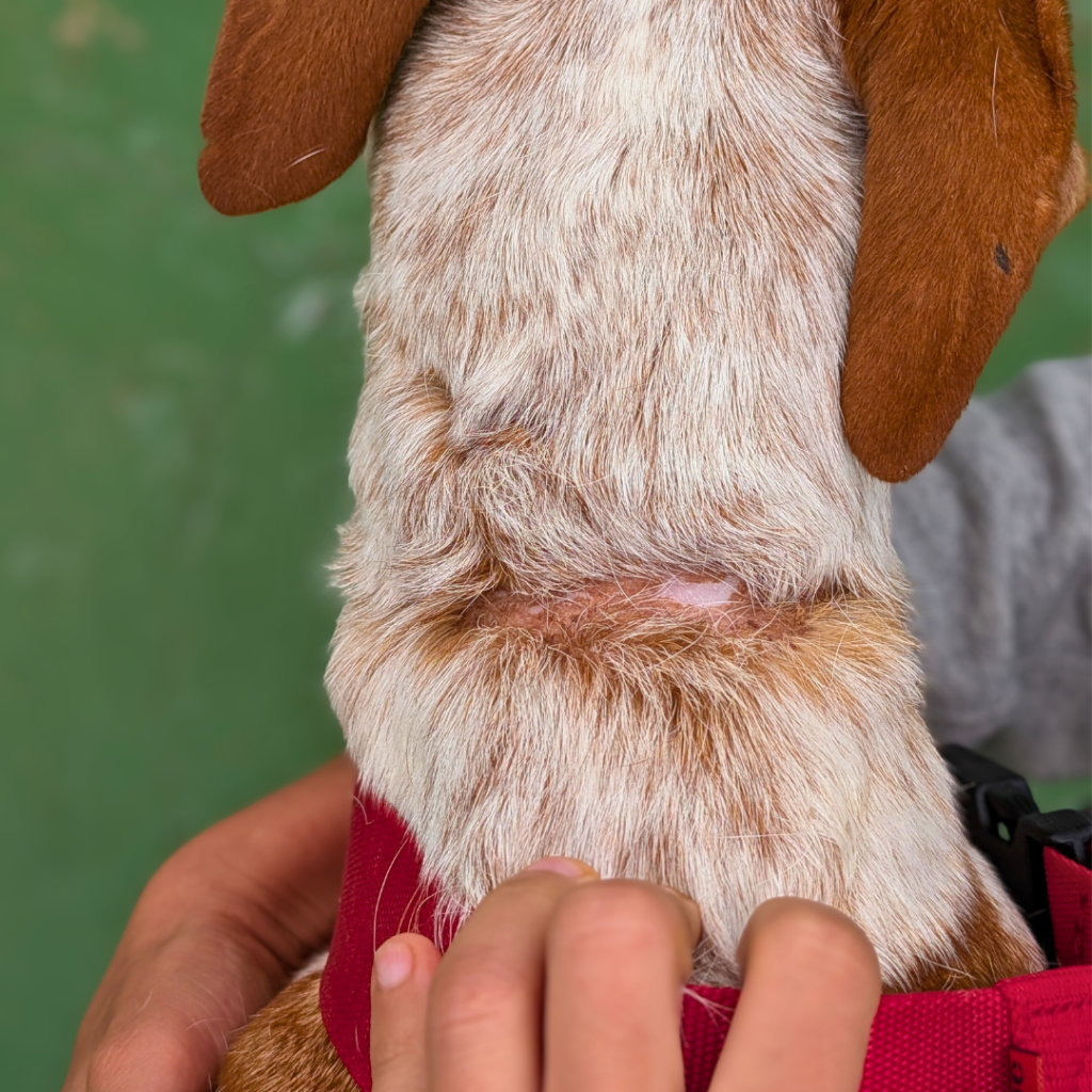 Copia di Quadrato sito (6)