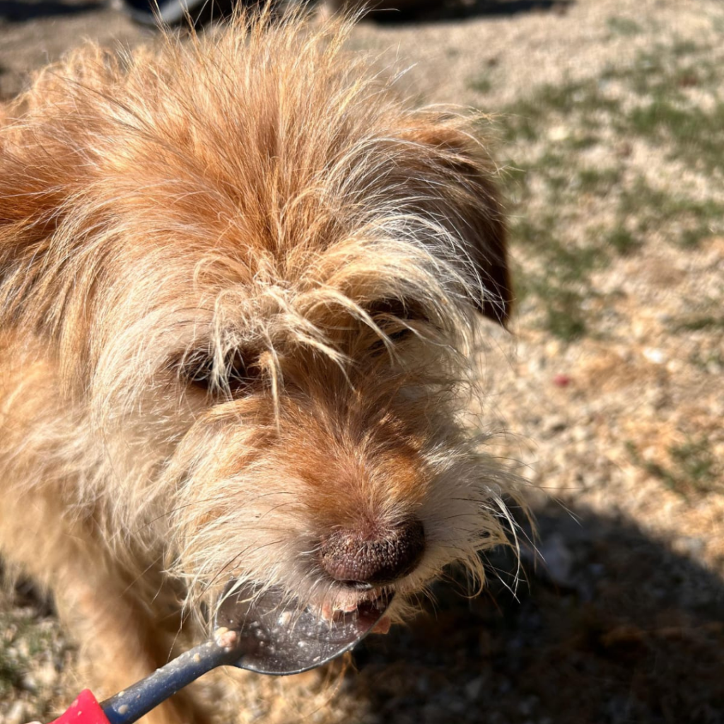 Copia di Quadrato sito