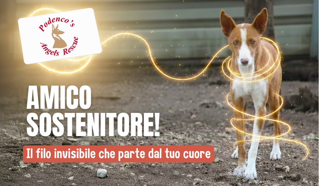 Il filo invisibile che parte dal tuo cuore