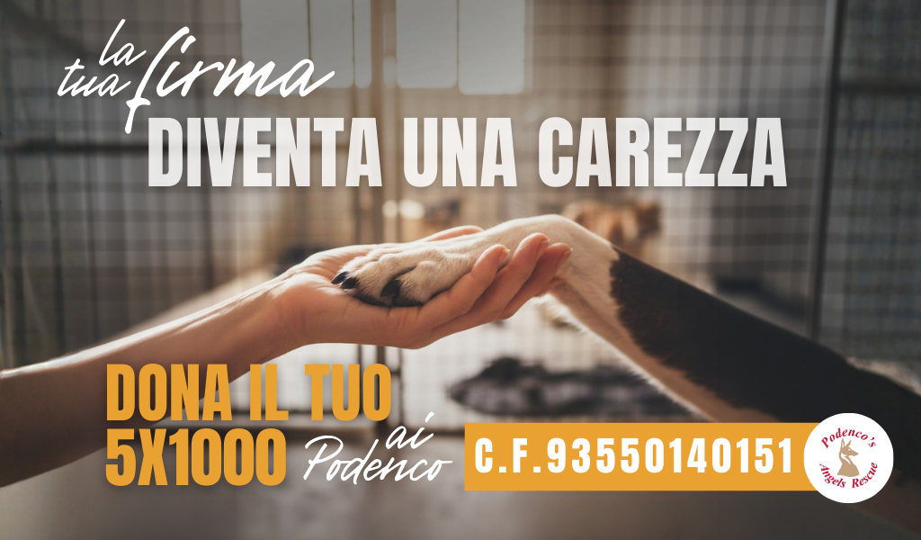diventa una carezza